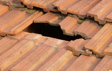roof repair Broad Parkham, Devon
